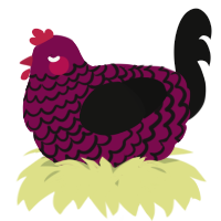 A wine and black chicken with a lace pattern