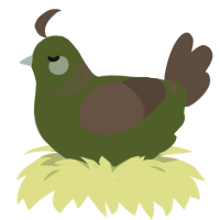 A olive and bark chicken with a neck-band pattern