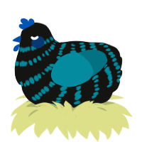 A black and sea chicken with a bar pattern