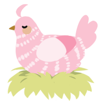 Peach, a rose chicken with a bar pattern