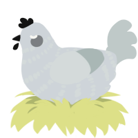 A mist and silver chicken with a bar pattern