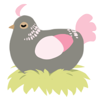 A ash and rose chicken with a neck-band pattern
