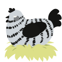 A mist and black chicken with a bar pattern