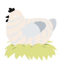 A cream and mist chicken with a bar pattern