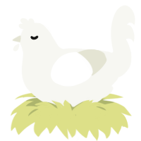 (unnamed), a white chicken
