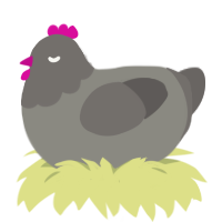 A ash and grey chicken with a head pattern