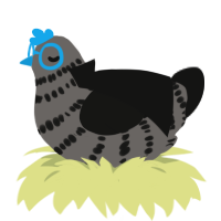 A grey and black chicken with a bar pattern