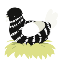 A black and white chicken with a bar pattern