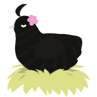 A black and sable chicken with a bar pattern