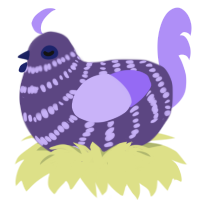 A overcast and lilac chicken with a bar pattern