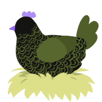 A black and olive chicken with a double-lace pattern