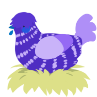 A indigo and lilac chicken with a bar pattern