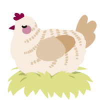 A cream and beige chicken with a half-bar pattern