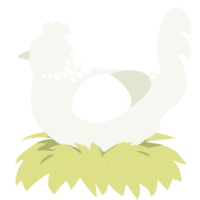 A white chicken with a neck-speckle pattern