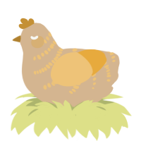 A beige and honey chicken with a half-bar pattern