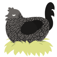 Weeping Smoke, a grey and sable chicken with a double-lace pattern