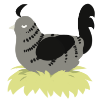 A ash and black chicken with a half-bar pattern