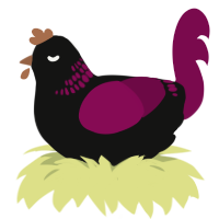 Winezy, a black and wine chicken with a neck-band pattern