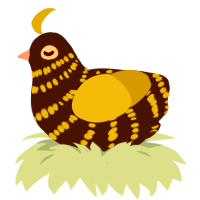 A sable and olive chicken with a bar pattern