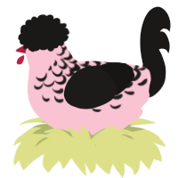 A rose and sable chicken with a half-lace pattern