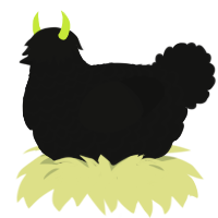 Shadow, a black chicken with a lace pattern
