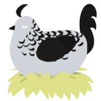 A mist and sable chicken with a half-lace pattern