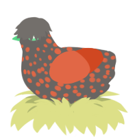 A grey and vermilion chicken with a speckle pattern