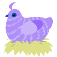A lilac chicken with a bar pattern