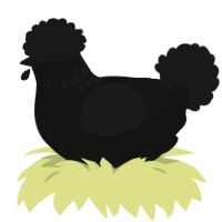 A black and sable chicken with a neck-speckle pattern