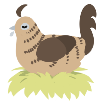 A beige and bark chicken with a half-bar pattern