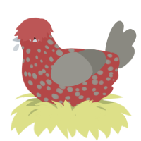 A red and ash chicken with a speckle pattern