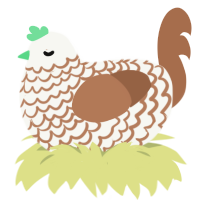 A white and brown chicken with a lace pattern
