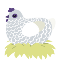 Blop, a mist and white chicken with a lace pattern