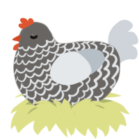 A grey and mist chicken with a lace pattern