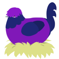 Twilight, a violet and navy chicken with a head pattern