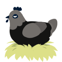 Ghost, a black and grey chicken with a head pattern