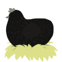 A black and sable chicken with a speckle pattern
