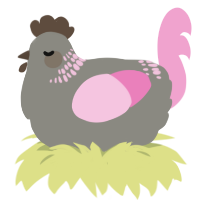 Daffodil, a ash and pink chicken with a neck-band pattern