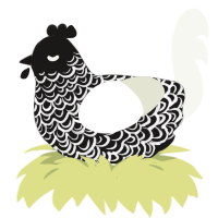A sable and white chicken with a double-lace pattern