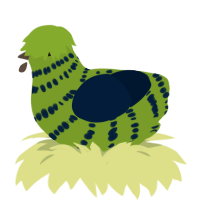 (unnamed), a chartreuse and tumblr chicken with a bar pattern