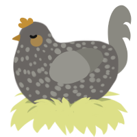 Borb, a grey and ash chicken with a speckle pattern