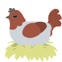 A mist and russet chicken with a head pattern