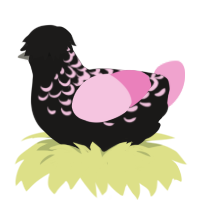 A sable and pink chicken with a half-lace pattern