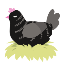 A sable and grey chicken with a half-bar pattern