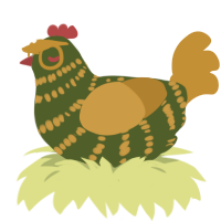 A olive and gold chicken with a bar pattern