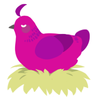 A fuchsia and plum chicken with a neck-band pattern