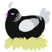 A black and mist chicken with a neck-band pattern