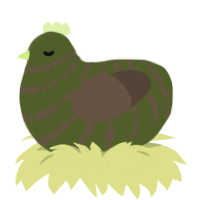 (unnamed), a olive and bark chicken with a bar pattern