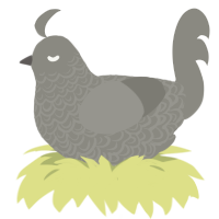 (unnamed), a ash chicken with a double-lace pattern