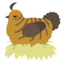 A gold and bark chicken with a half-bar pattern